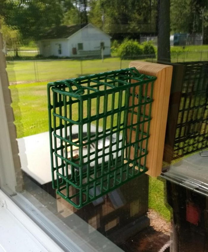 window suet feeder