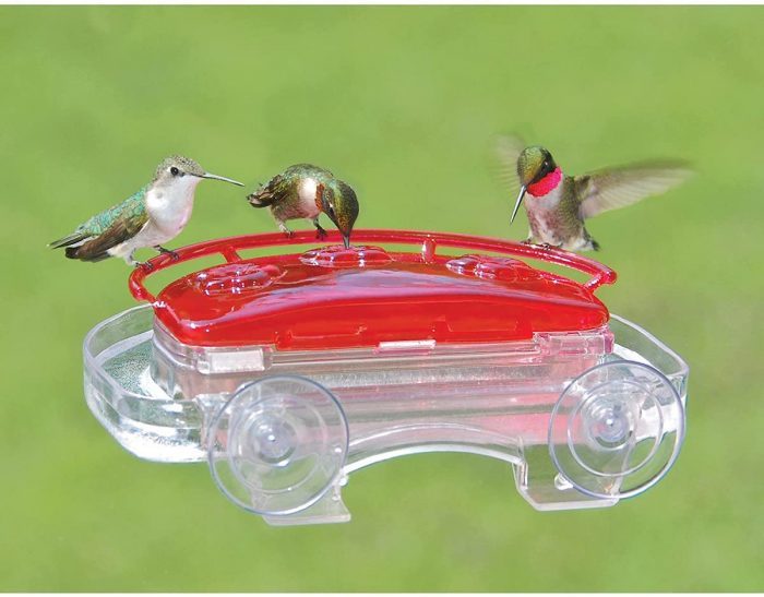 window hummingbird feeder