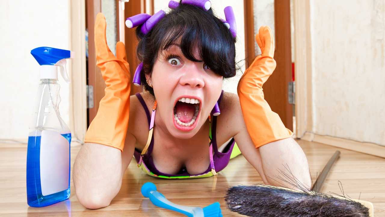 Rental Best Practices for Any Project