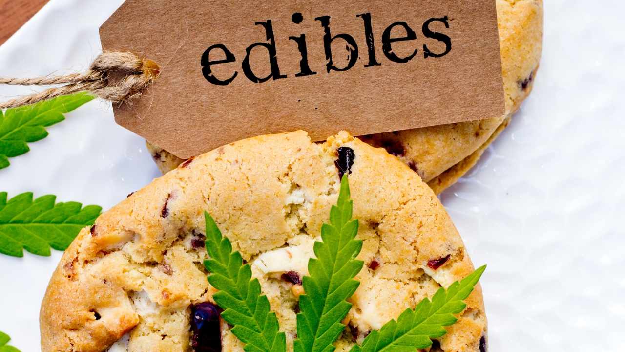Shop 7 of the Best CBD Deals Online Today