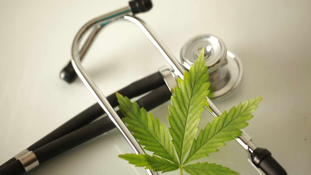 High Quality CBD Products for Low Prices - Independent Retailer