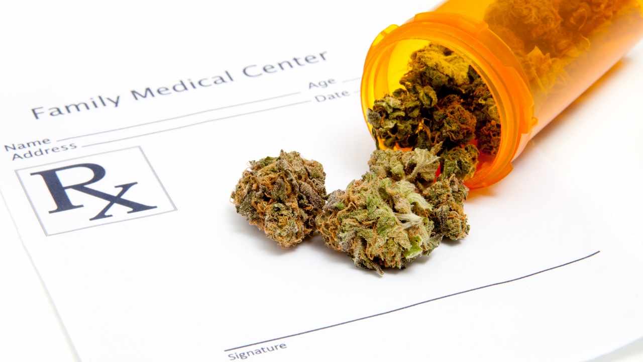 Pet Owners Still Lack Adequate Knowledge of CBD Pet Products