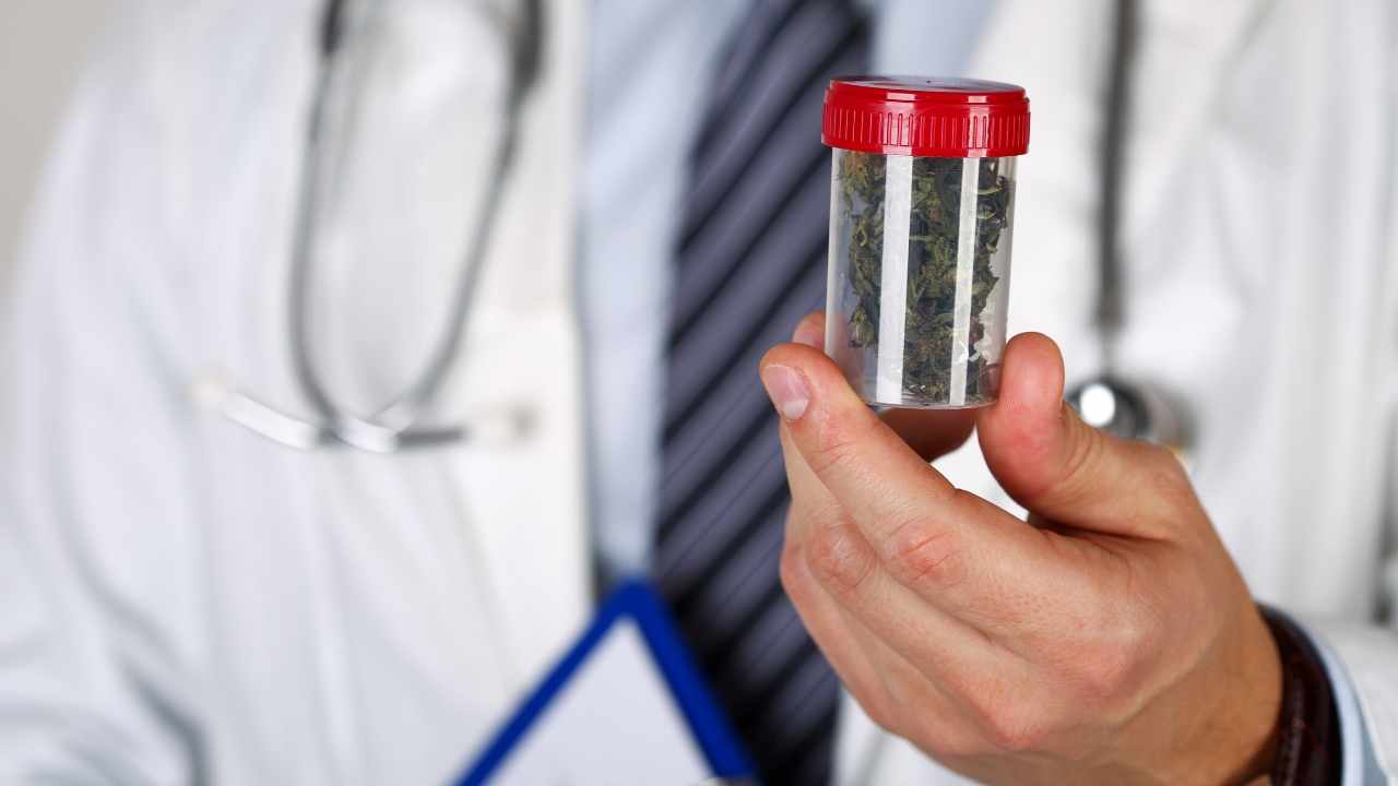 5 Best CBD Oil for Anxiety | Vashon-Maury Island Beachcomber