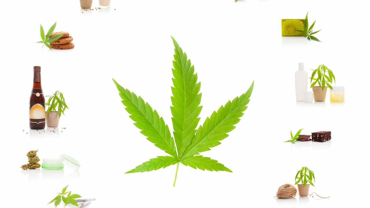 Cornbread CBD Gummies Will Give You All The Chill Without the High