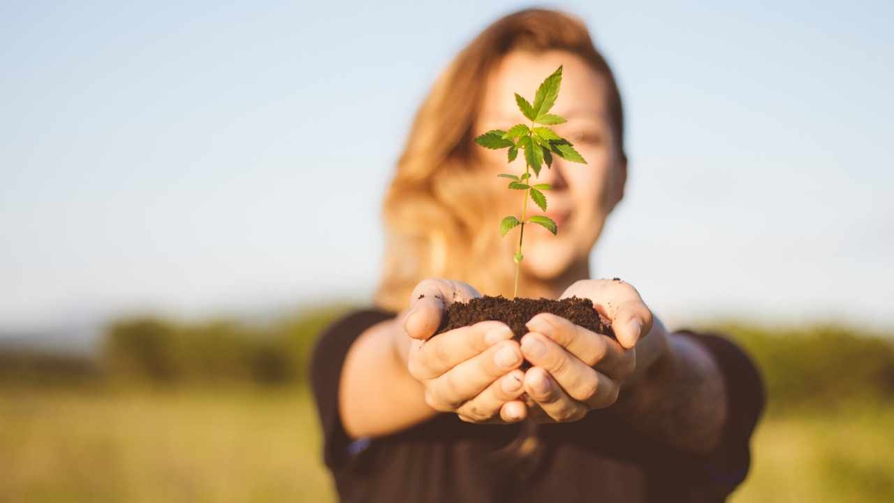Green Ape CBD Gummies: How to Know Cost or Price Before Buying? Truth or Scam? - LA Weekly