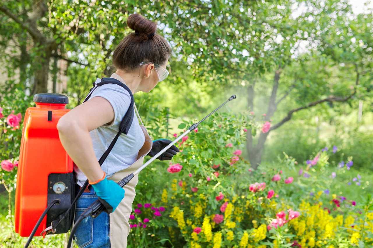 Woman with backpack garden spray gun under pressure handling bushes with blooming roses