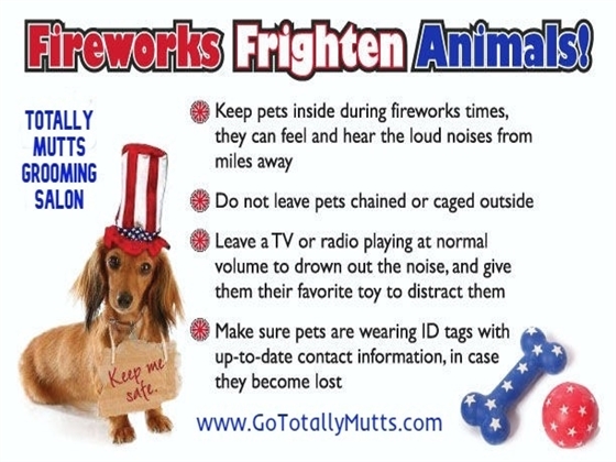 Stressed Dog? How Trigger Stacking Might Be Putting Your Dog Over Threshold #112
