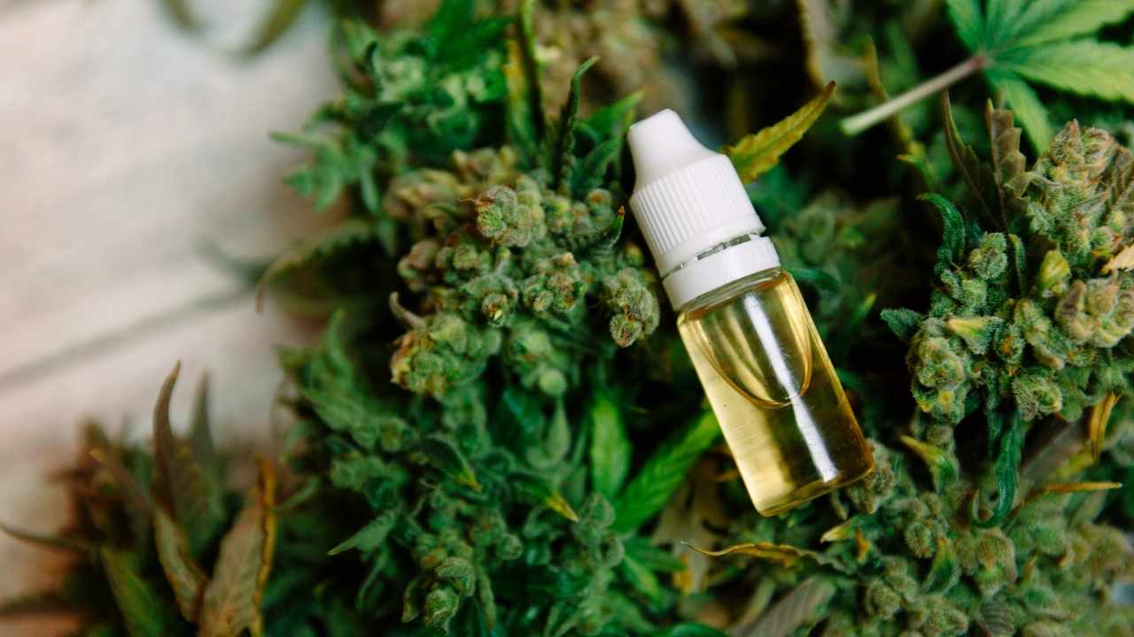 Thinking of Traveling With CBD? Here’s What You Need to Know