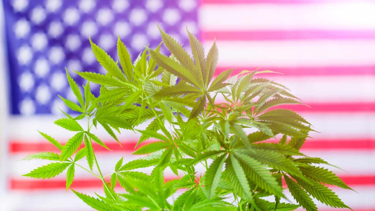 Governor signs Aguiar-Curry bill to legalize, regulate hemp CBD