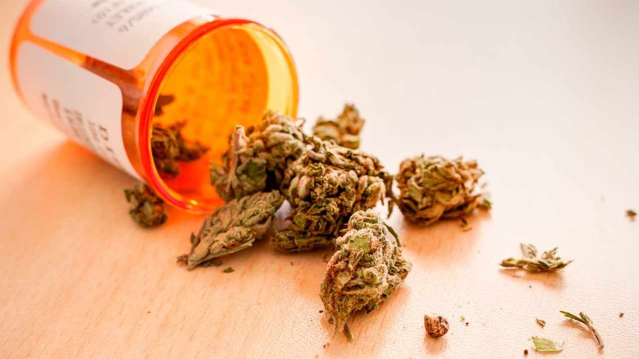 PAOG Announces CBD Pet Products Coming Soon To $100 Billion Market