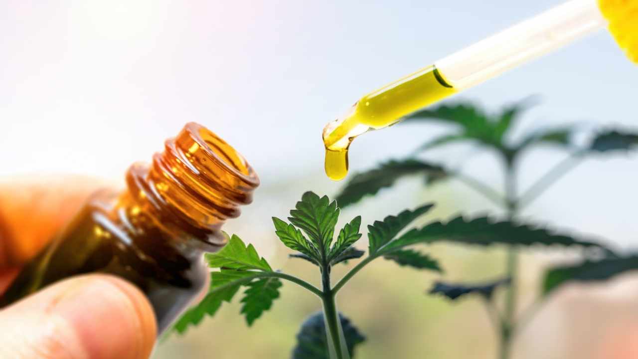 CBD vending machines expand in Luxembourg