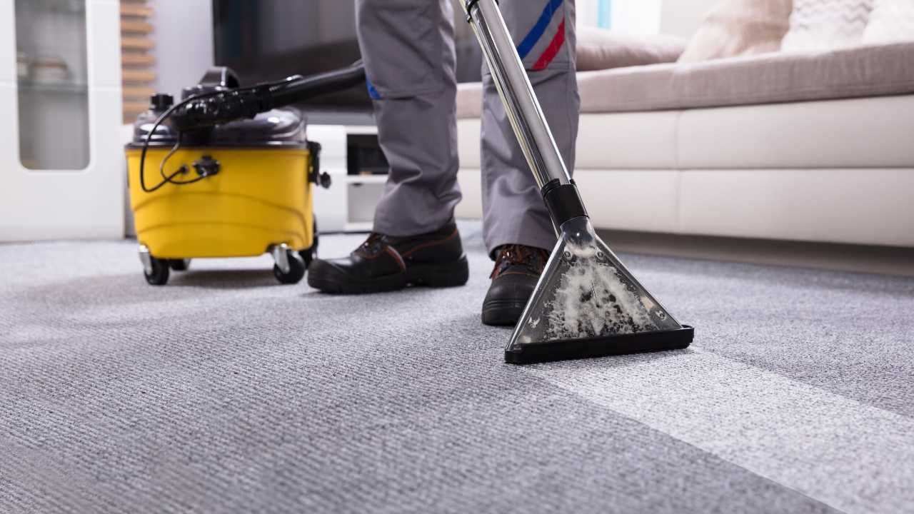 Best Area Rugs for Hardwood Floors