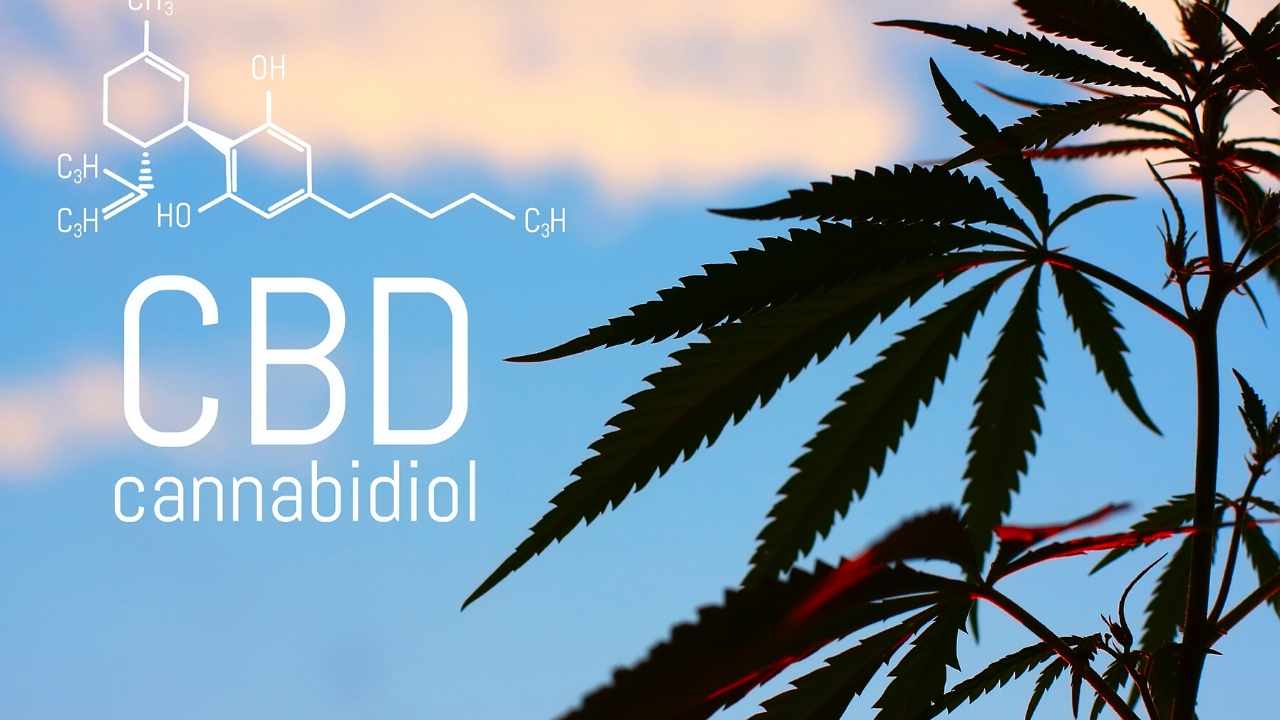 PAOG Expands CBD Footprint Into Market Forecasted To Reach Over $29 Billion
