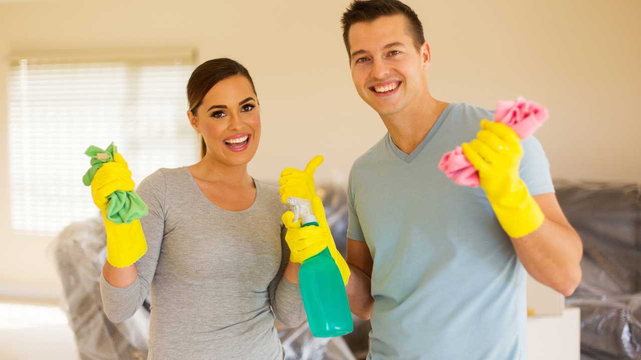 8 Best Products to Get Rid of Stink Bugs and Keep Them Away