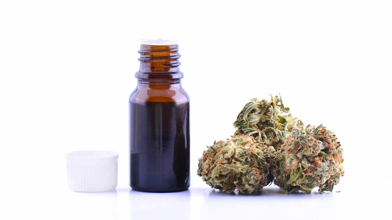 Nutrition vs. condition management: Hemp oil and CBD oil offer different benefits