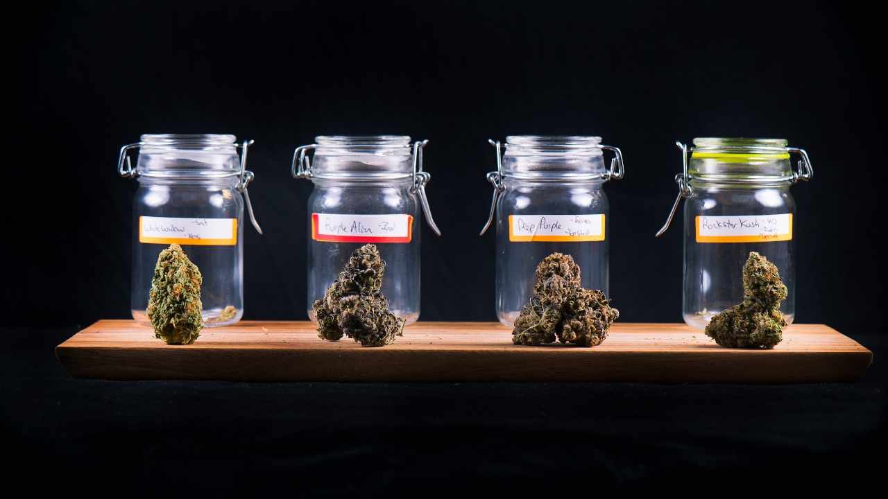 One Hemp Brands to Present CBD Research Results at International Neurological and Psychiatry Conference