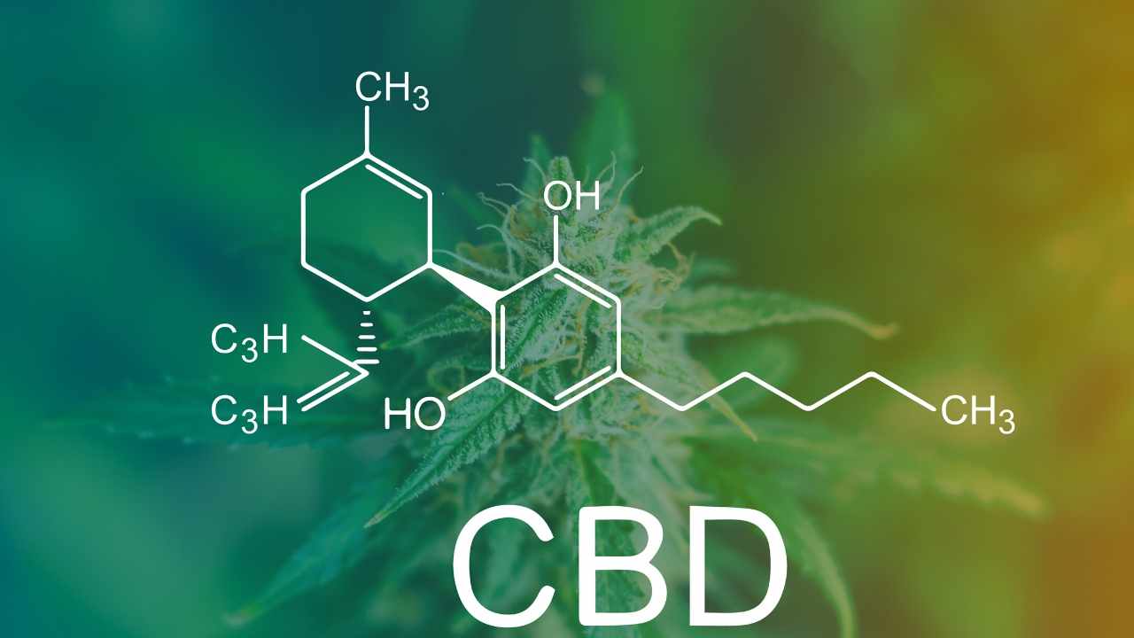 Best CBD Capsules, Pills and Soft Gels | Homer News