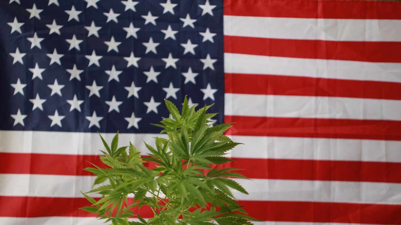 Best Summer Valley CBD Gummies Reviews Fact Read Scam?