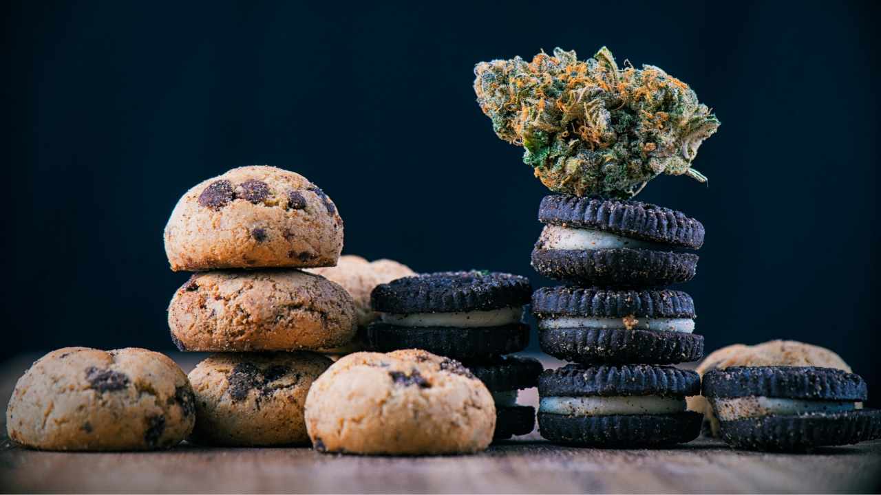 2021’s Best CBD Gummies Gift Packs For Christmas| Find The Strongest Hemp Edibles For Sleep From Top CBD Brands | Redmond Reporter