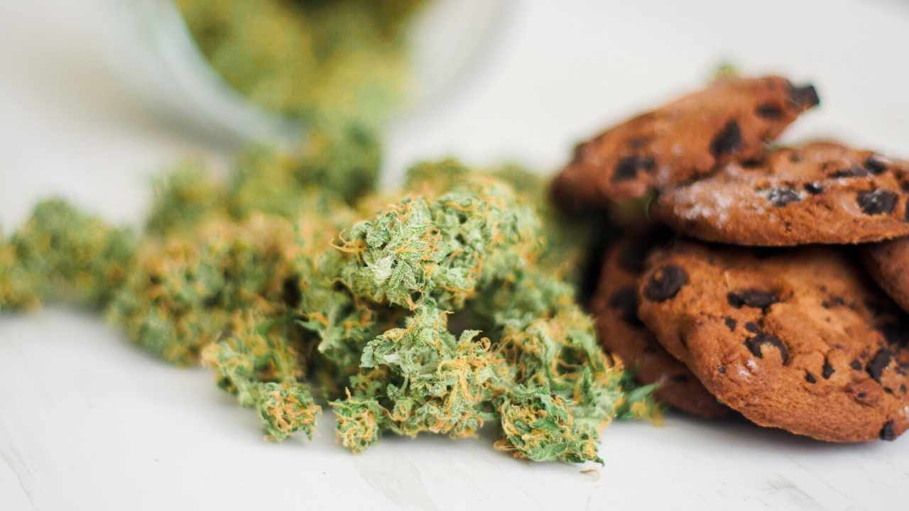 China Importing and Exporting Hemp, Cannabis and CBD Regulatory Report 2021: Customs Order No.43 Explicitly Prohibits Cannabis Entry to China