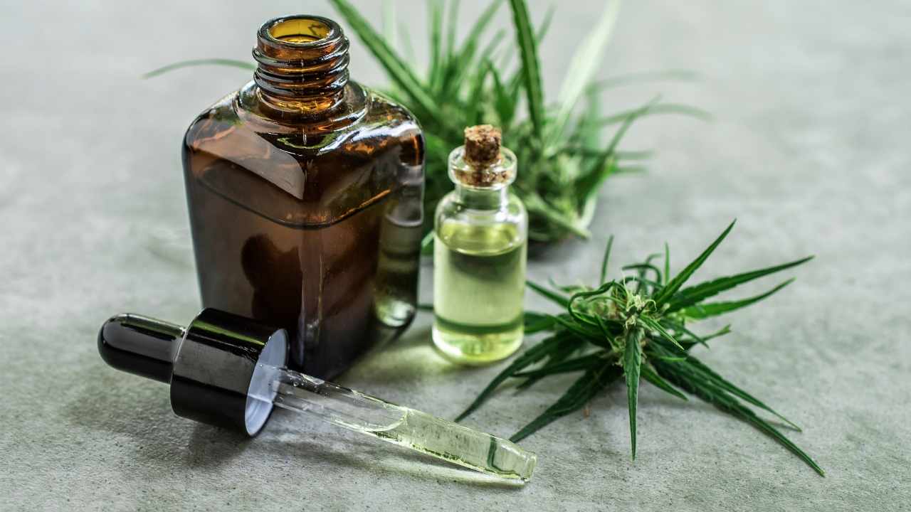 Best CBD Oil for Dogs in 2022