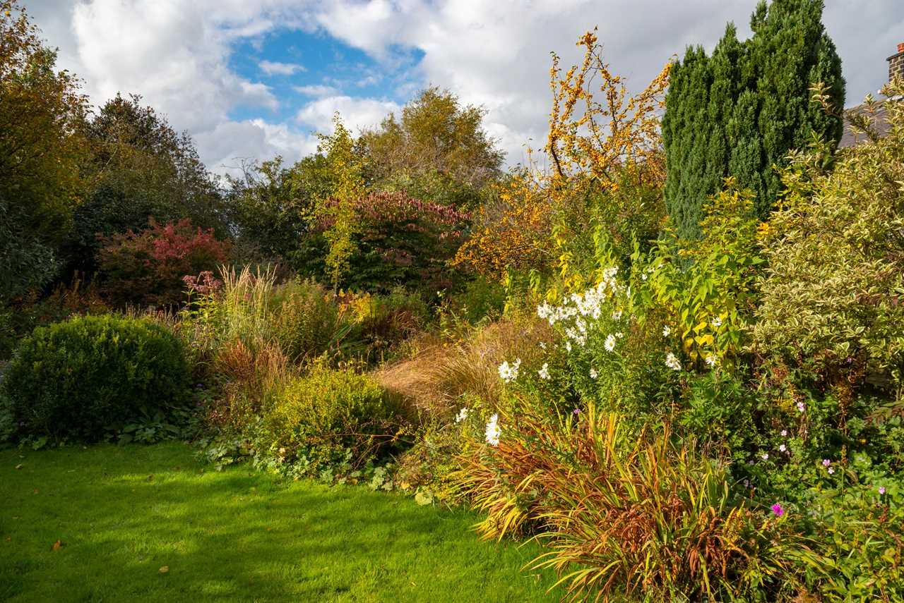 lawn and garden during the fall