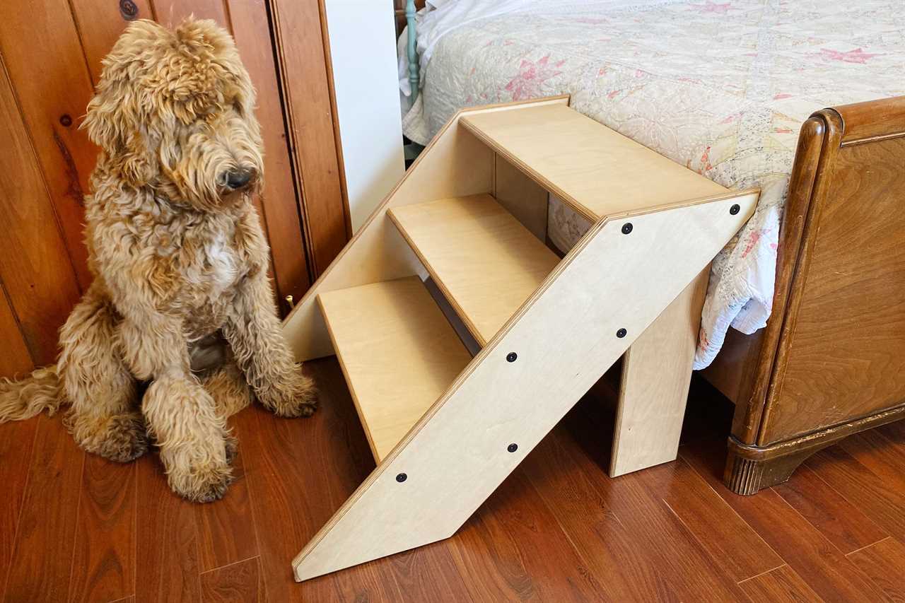 dog standing next to dog stairs